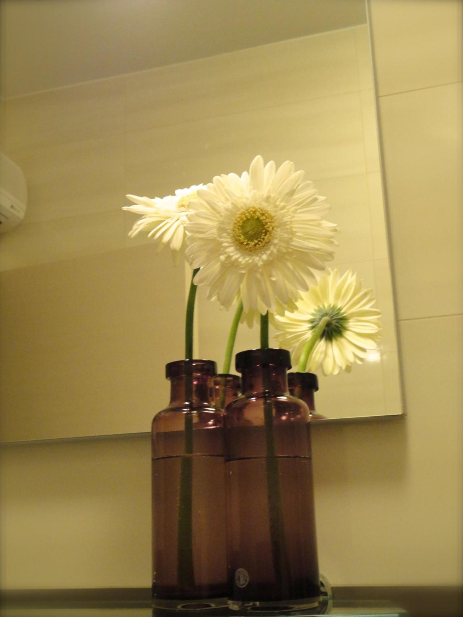 Dubrovnik Sunrise Apartment الغرفة الصورة